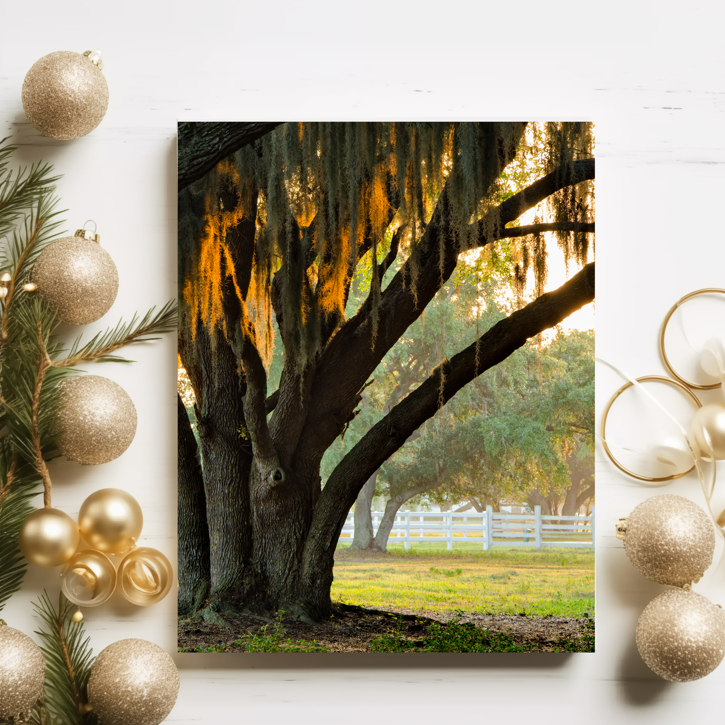 8" × 10" Moss Oak Tree Metal Print | Faith + Farmhouse Wall Art by Prickly Petal Boutique